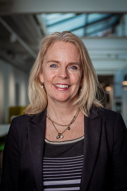 Ingela Hålling, vd för Linxon i Sverige.