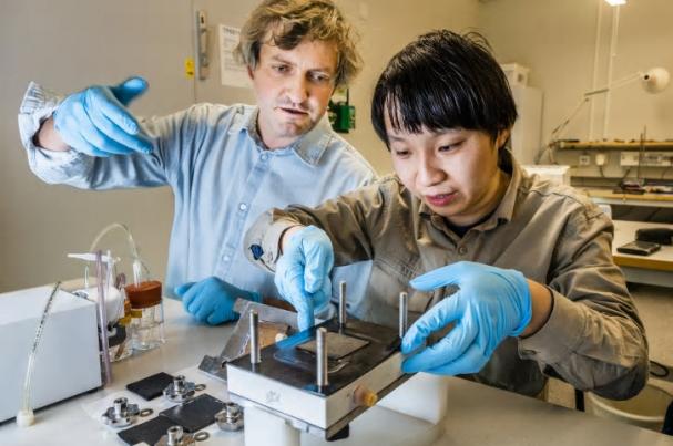 Mikhail Vagin, Penghui Ding, Laboratoriet för organisk elektronik.