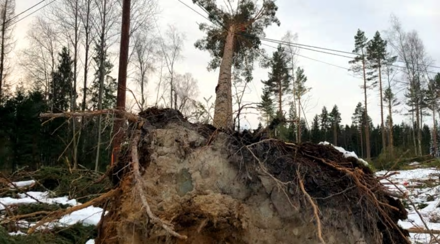 Arkivbild från Stormen Alfrida.