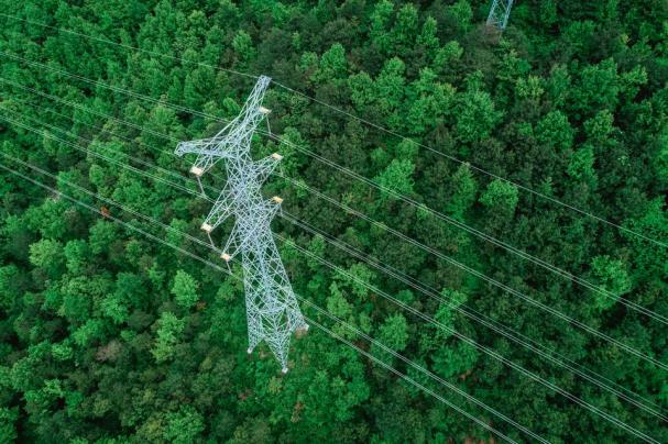 Investeringarna ska säkra elnätet för en framtid där den gröna industriella omställningen tar fart, tillväxten ökar och elanvändningen blir alltmer omfattande.