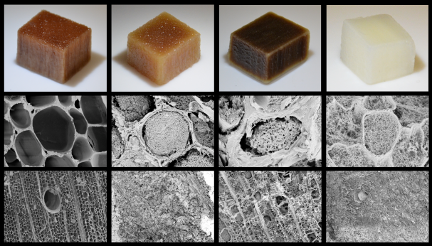 Längst till vänster ses naturligt trä. De tre träbitarna till höger har genomgått olika sorters behandling som ger högre ytarea och mindre porer, som ger snabb vattentransport genom materialet.