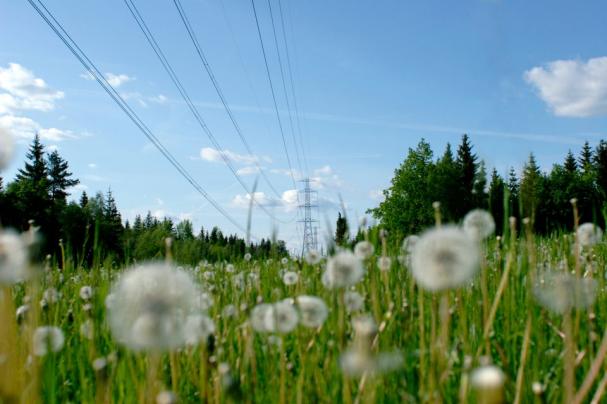 Jätteinvesteringen, på initialt en halv miljard kronor, ska på sikt ansluta 700 megawatt förnybar vindkraft till elområde 4.