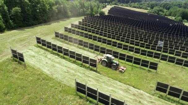Agrivoltaisk solpark i tyska Dirmingen.