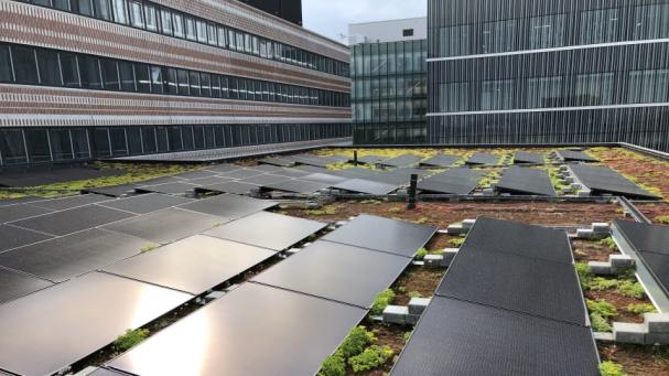 Solceller på Widerströmska huset i Campus Solna.