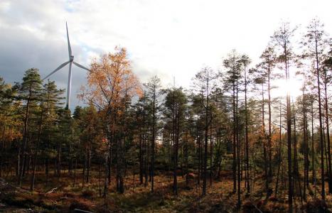 Vindkraft i värmländska &Aring;rjäng.