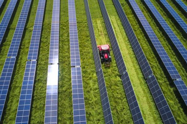 Från European Energys solcellspark i Harre, Jylland.