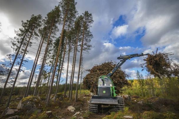 Biobränslet är framtaget i närområdet och består av flisad grot (grenar och toppar) som är en förnybar energikälla jämfört med ändliga alternativ såsom olja, kol och kärnkraft. Energin som utvinns från groten produceras helt och hållet av resurser som annars skulle gått förlorade.