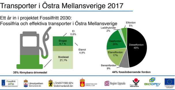 Siffror som illustrerar projektets första år.